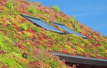 Oxley living roof systems